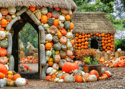 The Dallas Arboretum Kicks Off Autumn at the Arboretum with a Pumpkin Village Filled with Over 50,000 Pumpkins, Gourds, and Squash