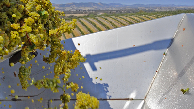 Author and Wine Expert Len Napolitano Shares Five Reasons for Visiting Wine Country This Fall