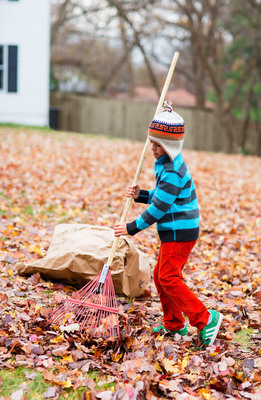 As Fall Arrives, Plant And Prepare Your Lawn For Spring