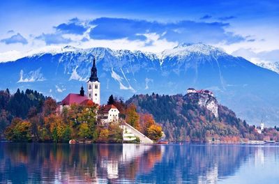A Beautiful Castle of Slovenia is Currently in Need for a Caretaker Dog with an Owner. A Reward of EUR 100 000 Guaranteed!