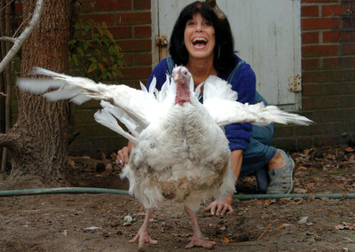 Turkeys - Who Are They?: A Visual Lecture &amp; Book Signing by Karen Davis, Ph.D.