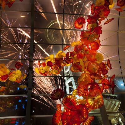 Countdown to 2014 with Dining, Drinks and Dancing at Chihuly Garden and Glass