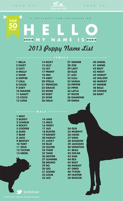 Bella and Max Repeat Atop Vetstreet.com's Most Popular Puppy Names List