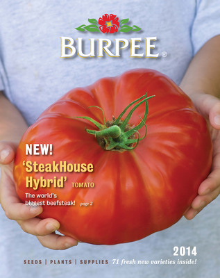 Burpee introduces SteakHouse Tomato