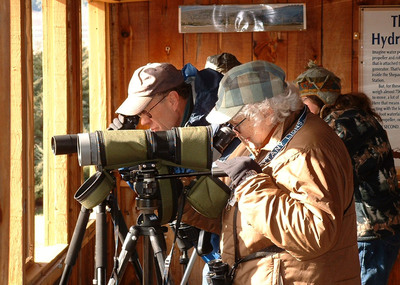 Shepaug Bald Eagle Observation Opening for 29th Season