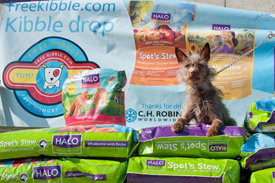 Freekibble.com and Ellen DeGeneres' Halo Pet Food's "Inspire Tour" Will Deliver 500,000 Meals to Homeless Pets