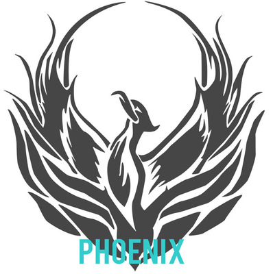 PhotoBiz Launches Phoenix: Unique, and Powerful New Content Management System