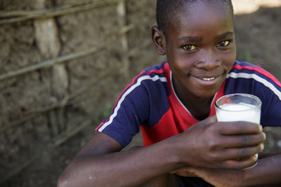 Heifer International Receives $25.5M Grant to Expand Its East Africa Dairy Development Program - 'Milk for Health and Wealth'