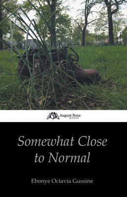 Release of "Somewhat Close to Normal": A Native New Yorker Examines September 11th's Impact on the Lives of Minorities