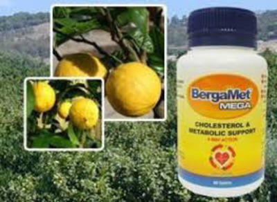 New Scientific Studies Reveal BergaMet™ Strikingly Effective for Epidemic Fatty Liver Conditions