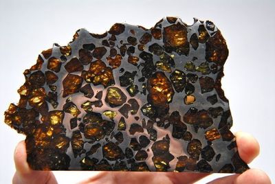 Erste europäische Meteoriten Auktion
