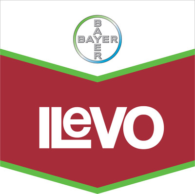 Bayer CropScience Submits EPA Registration Application for ILeVO, First Seed Treatment to Tackle Soybean Sudden Death Syndrome (SDS)