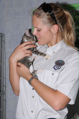 A Crystal crew volunteer comforts a kitten during a You Care, We Care excursion to an animal shelter.