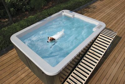Crufts 2014: Riptide Unveils DoggySwim™ S290 Self-Contained Canine Hydrotherapy Pool