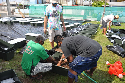 EarthBox Garden Boxes Combat Diabetes Crisis on Crowded Remote Island