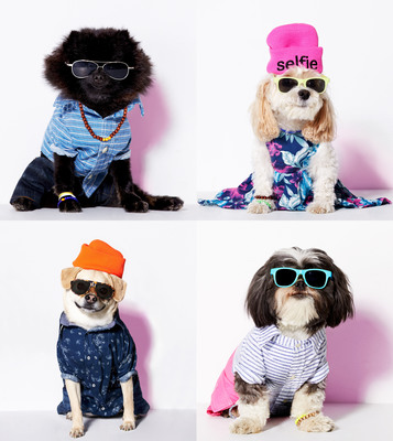 American Eagle Outfitters' Canine Collection, American Beagle Outfitters, Goes From April Fools' Joke To Real-Life Dog Fashion Line