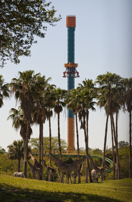Falcon’s Fury™ is the tallest freestanding drop tower in North America, standing at 335 feet and plunging riders face down at 60 mph.  2014 SeaWorld Parks & Entertainment, Orlando, Fla.