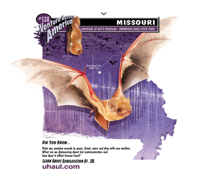 Did You Know…Today is National Bat Appreciation Day? U-Haul SuperGraphics Wants You to Learn The Truth About Bats