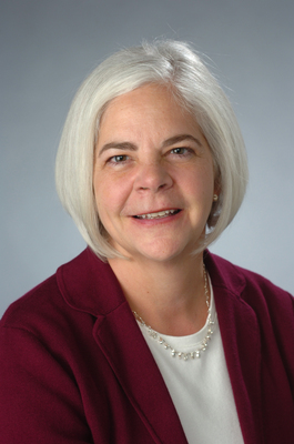 Christine Himes Named Dean of Lewis College of Human Sciences at Illinois Institute of Technology