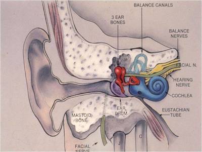 Oricula Therapeutics Secures National Institutes of Health Grant to Further Develop Medicine to Preserve Hearing