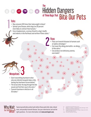 Dog Owners Bark About Bug Bites