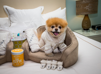  Trump International Hotel™ Las Vegas is celebrating National Pet Month with a special “Dogs Days of Summer” promotion. Pomeranian sensation and “The World's Cutest Dog,” Boo and his friend Buddy helped kick off the summer-long celebration. Photo by Erik Kabik. 