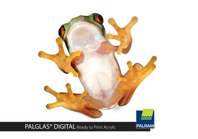PALRAM lance un support en plastique rigide conçu pour l'impression numérique