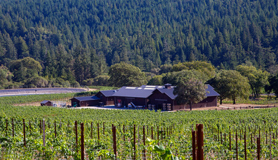 Domaine Anderson Winery To Open In The Anderson Valley, CA