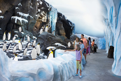 SeaWorld’s newest attraction, Antarctica: Empire of the Penguin, transports guests into the icy world of the penguin like never before.  Experience the mysterious land through the penguins’ eyes on a first-of-its-kind family ride, connect with a colony of more than 250 penguins, above and below the water, and be inspired to make a difference.