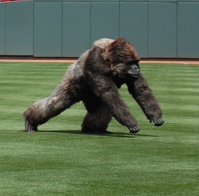 Gorilla Glue Icon Comes To Life In MLB Home Field Debut