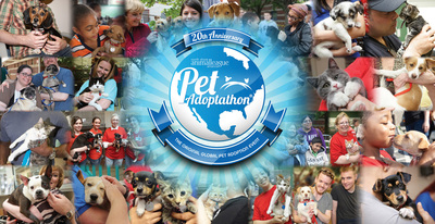 North Shore Animal League America Celebrates 20 Years Of World-Wide Pet Adoptathon®!