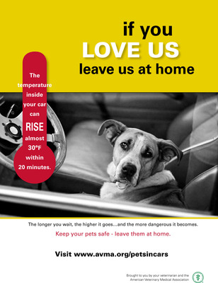 No excuse to leave your dog to die in an unattended vehicle
