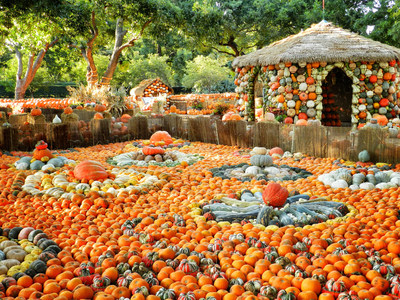 The Dallas Arboretum and Botanical Garden celebrates Autumn at the Arboretum, the Southwest's largest fall festival, from Sept. 20 to Nov. 26, 2014. The highlight is the nationally acclaimed Pumpkin Village, which is created with more than 50,000 pumpkins, gourds and squash.