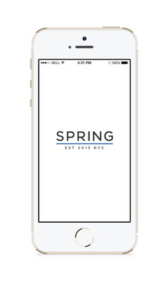 Introducing Spring, A Revolutionary Mobile Shopping Experience