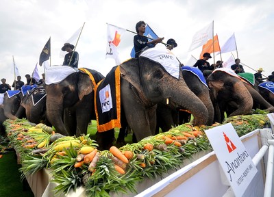 Elephants enjoy a fruit and vegetable buffet at the 13th Annual King's Cup Elephant Polo Tournament. 