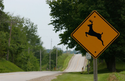 New State Farm(R) data shows odds drivers will collide with a deer are rising