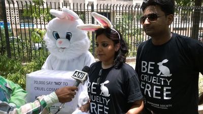 HSI's #BeCrueltyFree India Makes History as India Bans Import of Animal Tested Cosmetics