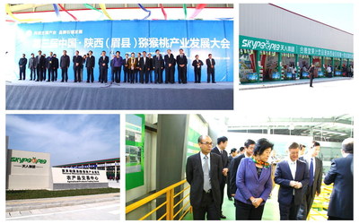 Government Leaders Visit SkyPeople Kiwi Fruit Industrial Park during the Kiwi Trade Fair in Mei County