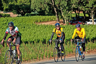 Cyclists enjoy the Napa Valley Vine Trail, a 47-mile bike path through this wine region.