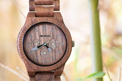 WeWOOD Announces New Eco-Friendly Watch in "Kappa Nut"