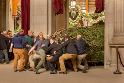 About 2,500 people gathered at Biltmore in Asheville, N.C. Wednesday, Nov. 5 to watch as employees and Santa delivered the official Biltmore Christmas tree, a 34-foot-high Fraser fir, and installed it inside the Banquet Hall. The annual "tree raising" kicks off the Christmas season at Biltmore that starts Friday, Nov. 7 and continues through Jan. 11. Media information can be found at http://www.biltmore.com/media/kit/christmas-at-biltmore.
