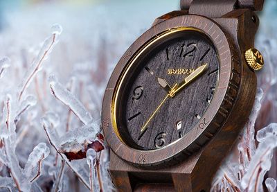 WeWOOD Releases New Watch to Continue Tree Planting Initiative