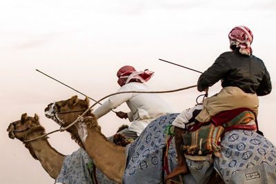 Camel Racing: Gone Like the Wind