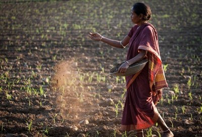 Conservation Through Cotton: C&amp;A Foundation and WWF India Join Forces