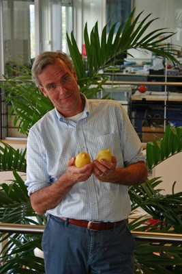 Eosta: "Import Ban on Citrus Smells Like Protectionism"