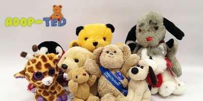 Give a Lost Teddy a New Home This Christmas for Charity