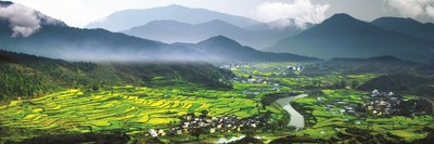 The Terraced Rapeseed Flower Hills of Jiangling, Wuyuan is hailed as one of the four "seas of flowers" in China