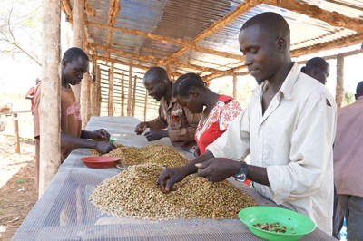 USAID Joins Nespresso and TechnoServe to Support South Sudan's Coffee Farmers