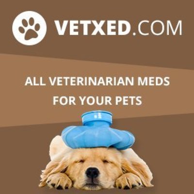 Online Veterinarian Catalog Vetxed.com is now Publicly Available