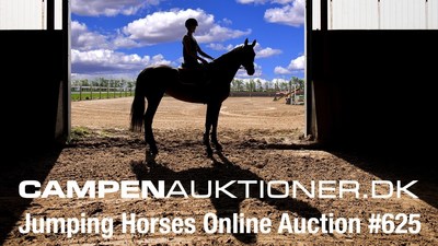 A Rare Auction of Outstanding Young Horses